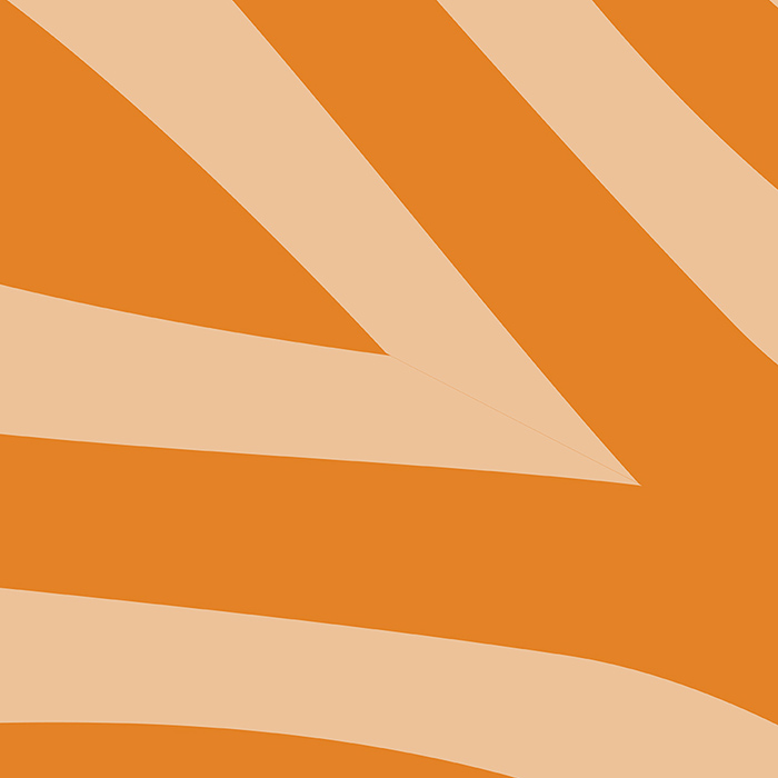 Gravity forms add on Laposta