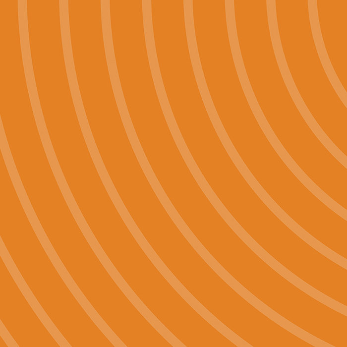 Website bouwer Bussum