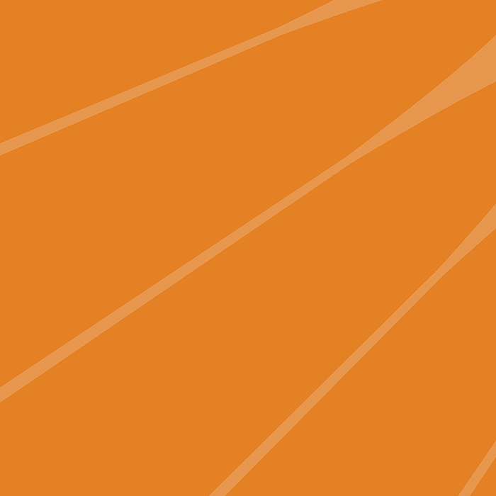 Bescherm jezelf tegen AI en cybercriminelen