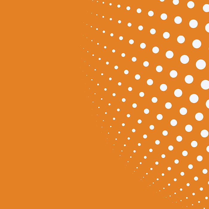 WordPress Gooise Meren