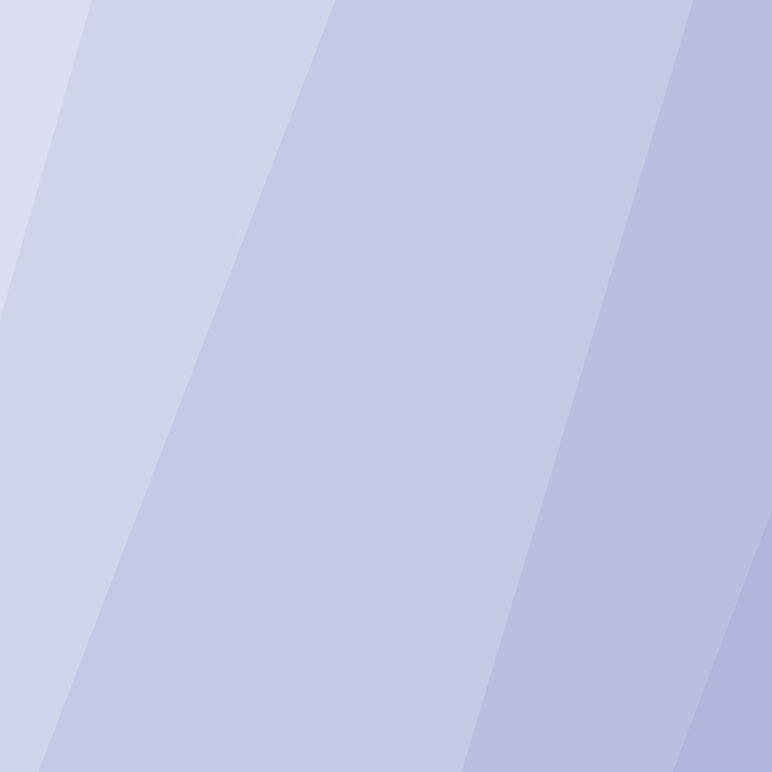 De wakkere webmaster